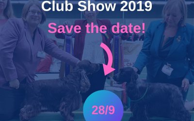 Club Show 2019