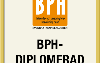 BPH diplomerade uppfödare