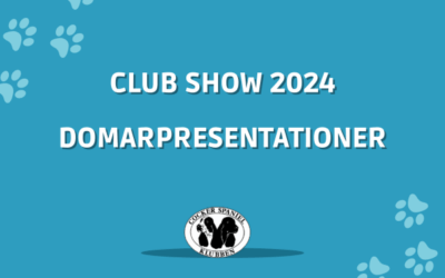 Domare Club Show 2024